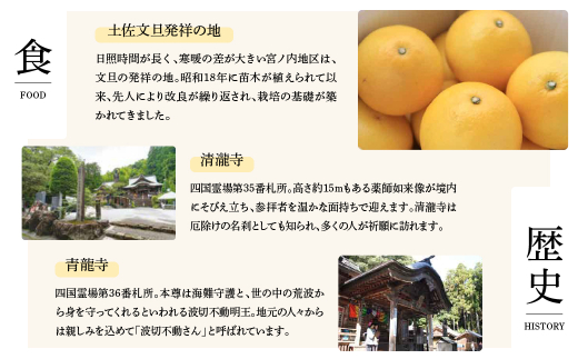 土佐市への寄付 (返礼品はありません) 高知県 土佐市 返礼品なし 1口 100000円  応援 寄付