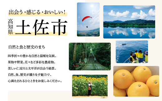 土佐市への寄付 (返礼品はありません) 高知県 土佐市 返礼品なし 1口 100000円  応援 寄付