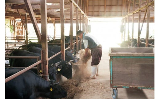 【遠野牛】黒毛和牛 霜降り 上カルビ 焼肉用 10kg いわて門崎牛牧場  高級肉 肉 ギフト お取り寄せ グルメ 和牛 ブランド牛 国産牛  高級 贈り物 贈答品 御祝 御礼 国産 岩手県 遠野市 牛肉