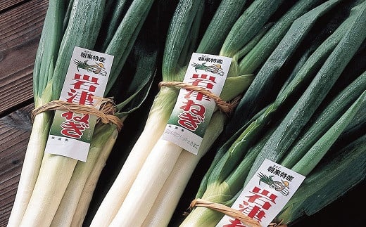 A-6 朝来市特産「岩津ねぎ」2kg（箱入り）