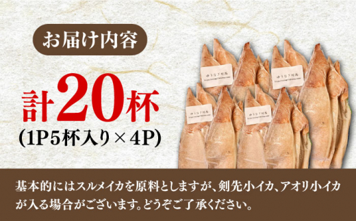 ふぞろい の 烏賊(コイカ) たち 2024《対馬市》【ゆうなぎ対馬】イカ いか 生冷凍 新鮮 簡単調理 海鮮 魚介 煮物 揚げ物 焼き物 訳アリ 訳あり [WAG022]九州 長崎 対馬 いか お惣菜 おかず 烏賊 島土産 おつまみ 新鮮 訳あり ワケあり 詰め合わせ 剣先いか するめいか