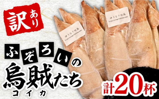 ふぞろい の 烏賊(コイカ) たち 2024《対馬市》【ゆうなぎ対馬】イカ いか 生冷凍 新鮮 簡単調理 海鮮 魚介 煮物 揚げ物 焼き物 訳アリ 訳あり [WAG022]九州 長崎 対馬 いか お惣菜 おかず 烏賊 島土産 おつまみ 新鮮 訳あり ワケあり 詰め合わせ 剣先いか するめいか