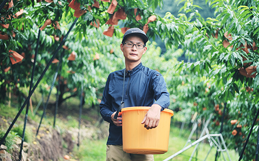 【ご家庭用】岡山白桃 清水白桃 5～7玉