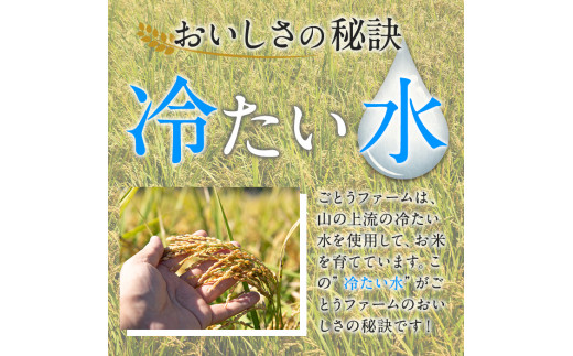 数量限定！あきほなみ(計6kg・3kg×2袋) 米 お米 白米 あきほなみ アキホナミ おにぎり お弁当 ごはん ご飯【ごとうファーム】a-16-53-z