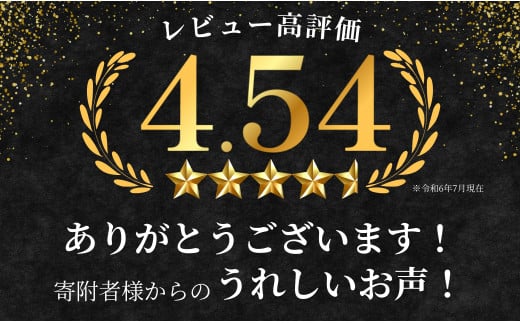 【年内発送！】佐賀牛 もも 薄切り (しゃぶ・すき焼き用) 300g 【佐賀牛の赤身で鍋を楽しむ】 薄切り肉 しゃぶしゃぶ すきやき モモ 牛肉 黒毛和牛 極上の佐賀牛 厳選 うすぎり ウスギリ 10000円 1万円 年内お届け 年内配送 N10-42