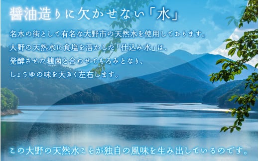 厳選こだわり醤油「木桶仕込み」2種 詰め合わせ 