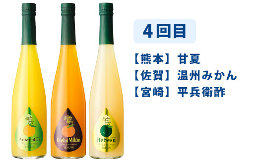 【6ヶ月定期便】九州を飲む！毎月届く九州果実シロップ飲み比べセット