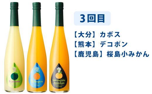 【6ヶ月定期便】九州を飲む！毎月届く九州果実シロップ飲み比べセット