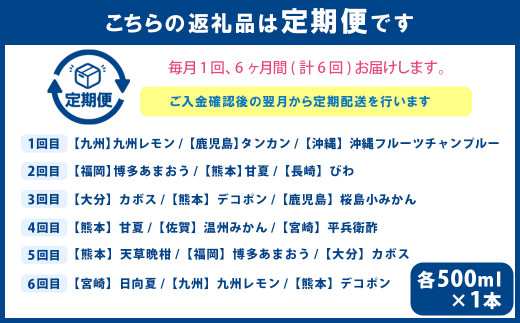 【6ヶ月定期便】九州を飲む！毎月届く九州果実シロップ飲み比べセット