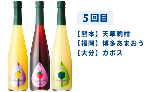 【6ヶ月定期便】九州を飲む！毎月届く九州果実シロップ飲み比べセット