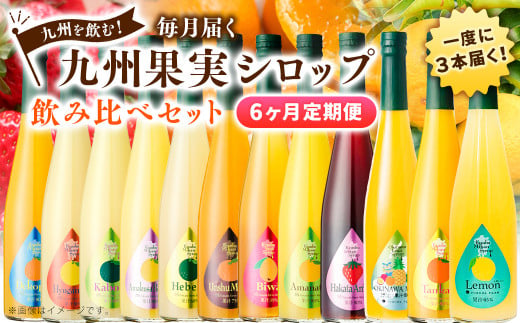 【6ヶ月定期便】九州を飲む！毎月届く九州果実シロップ飲み比べセット