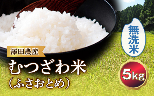 令和5年産米 むつざわ米（ふさおとめ）無洗米 5kg 澤田農産 F21G-170