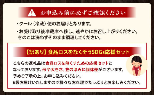 【訳あり】北九州市産 生しいたけ 「食品ロスをなくそうSDGs応援セット」250g×6袋 約1.5kg