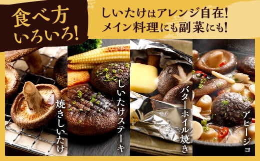 【訳あり】北九州市産 生しいたけ 「食品ロスをなくそうSDGs応援セット」250g×6袋 約1.5kg