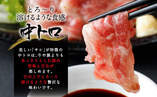 国産 馬刺し 上ロース（上赤身）中トロ タテガミ 盛合せ 合計約210g 冷凍 馬肉