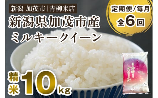 【令和6年産新米先行予約】【定期便6ヶ月毎月お届け】新潟県央地区 ミルキークイーン 精米10kg（5kg×2）新潟米 新潟産 お米 白米 加茂市 青柳米店