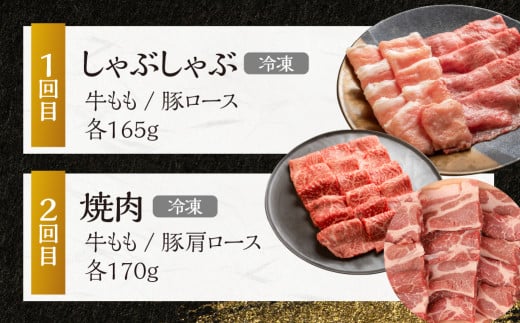 【定期便２回】 飛騨牛＆納豆喰豚 お楽しみ定期便（しゃぶしゃぶ用、焼肉用）天狗 なっとく豚 飛騨牛 牛 牛肉 焼き肉 しゃぶしゃぶ 食べ比べ 定期便 2カ月 定期下呂温泉 おすすめ 豚肉 なっとくとん ブランド豚 国産  ギフト  20000円 2万円 岐阜県 下呂市