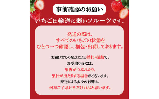 大人気！日本一のいちご生産量を誇るJAはが野が厳選 最旬 とちあいか 290g×2P | いちご とちおとめ 甘い 美味しい 果物 共通返礼品 フルーツ デザート 栃木県 那珂川町 送料無料