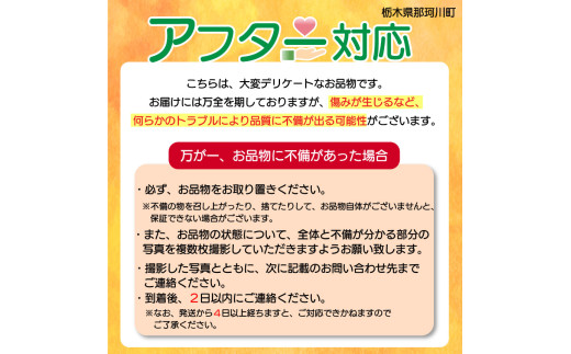 大人気！日本一のいちご生産量を誇るJAはが野が厳選 最旬 とちあいか 290g×2P | いちご とちおとめ 甘い 美味しい 果物 共通返礼品 フルーツ デザート 栃木県 那珂川町 送料無料