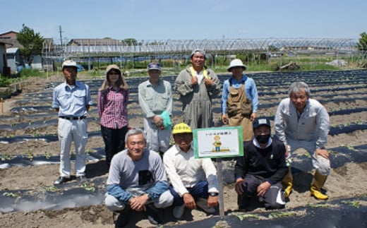 010-026　いかるが援農会・こだわり栽培「シルクスイート芋」