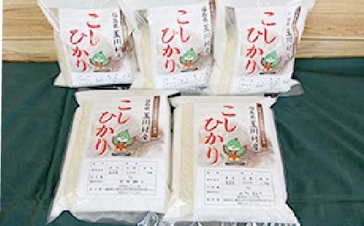 FT18-172【こぶしの里】福島県産コシヒカリ米(10kg)