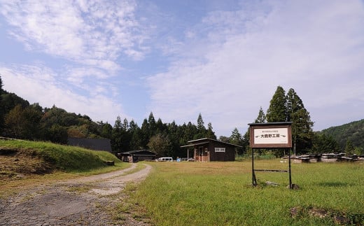 【DBR濃いめの茶色】玄関椅子・シート高さ40cm両肘付き【国産クリ使用・着色オイル仕上げ】完成品 両肘付き椅子 木製 手作り 椅子 インテリア シンプル ナチュラル 玄関　リビング【大鹿野工房】