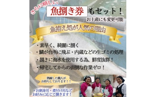 釣り船 乗船券 (100,000円分) 魚捌き利用券付き ルアー乗合・大物乗合・中物乗合・仕立船