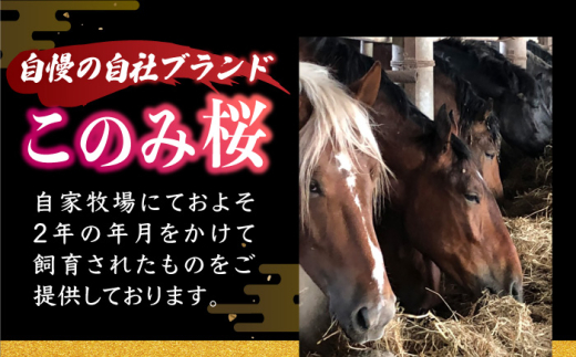 【12回定期便】鮮度抜群！冷蔵お届け 特上含む 馬刺し 4種 食べ比べ このみ桜プレミアム4点セット 計400g (赤身150g・特上霜降り100g・ふたえご刺し100g・たてがみ刺し50g)【馬庵このみ】赤身 霜降り ふたえご刺し たてがみ刺し 冷蔵