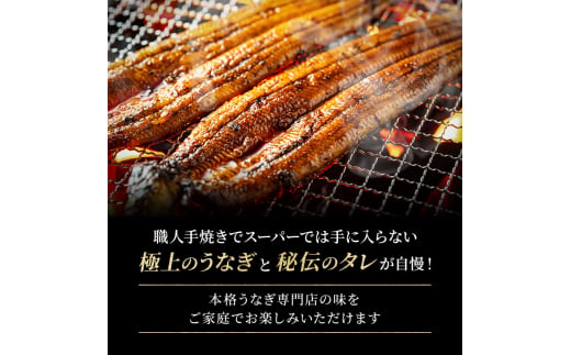 国産うなぎ 特大蒲焼き 約230g前後 2尾 職人手焼き ギフトにも[№5580-0902]