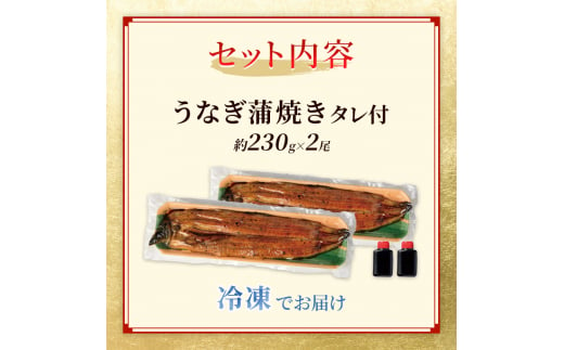 国産うなぎ 特大蒲焼き 約230g前後 2尾 職人手焼き ギフトにも[№5580-0902]