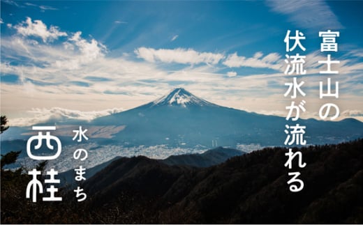 No.402 高級織物傘【婦人長傘】黄茶系・穏やかなやさしさのある優雅な晴雨兼用傘 ／ 雨具 雨傘 山梨県