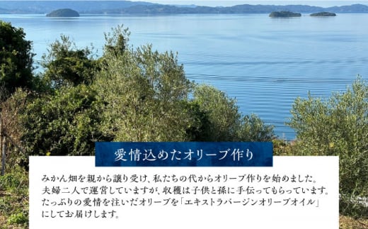 国産 オリーブオイル おりーぶおいる オリーブ油 新鮮 手摘み 贈答 ギフト