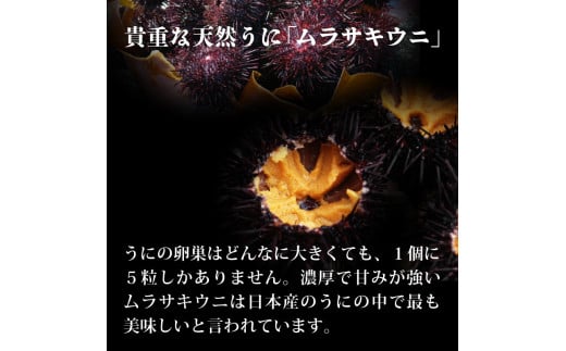 うにの貝焼き 200g 100g × 2個 焼きウニ ムラサキウニ うに ウニ 雲丹 寿司 Sea urchin ごはん 夕飯 おかず おつまみ 晩酌 米 丼 海産物 海鮮 魚介 魚介類 大船渡 三陸 岩手県 国産