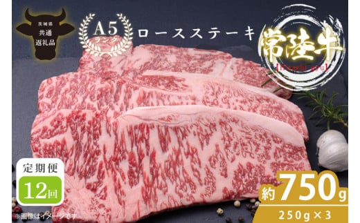 【12回定期便】最高級A4.A5ランク 常陸牛ロースステーキ750ｇ（250g×3）×12回【人気肉 お肉 牛肉 和牛 黒毛和牛 国産黒毛和牛 ロース肉 ステーキ 国産牛 焼肉 焼き肉 バーベキュー BBQ A5 ブランド牛】(CR012)