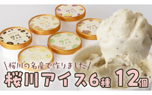 【生産者支援】桜川アイス 6種 12個 セット  数量限定 食べ比べ 90ml×6種類 桜川市のこだわり素材を使用 アイス あいす デザート スイーツ 産地限定 おやつ カップ フレーバー メロン ゆず 蜜芋 コーヒー 栗 茨城県  [SC041sa]