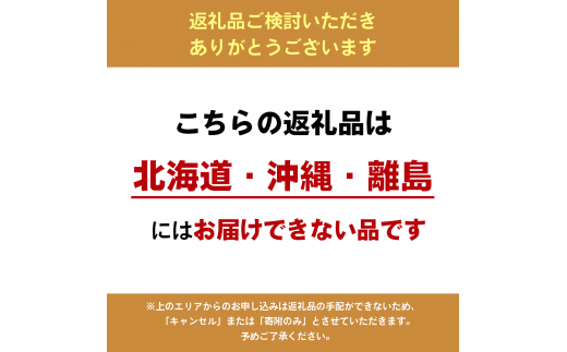 小豆島　手延そうめん　4kg　40人前