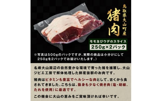 GB-01 猪肉 500g（250g×2パック） 