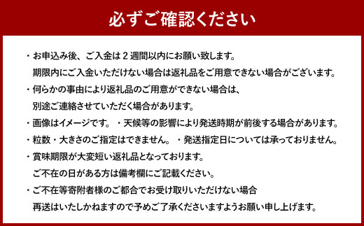 【3回定期便（2・3・4月発送）】博多あまおう 250g～270g× 4パック 