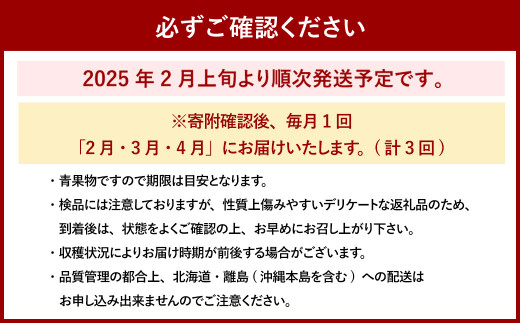 【3回定期便（2・3・4月発送）】博多あまおう 250g～270g× 4パック 