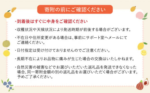 みかん 柑橘 果物 くだもの フルーツ 季節限定 数量限定 温州みかん ミカン 先行予約