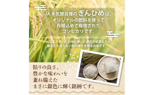 コシヒカリ「ぎんひめ」10㎏ (5㎏×2 ) 多気郡産 米 コメ 精米 白米 10kg 5kg 国産 ごはん 人気 おすすめ こしひかり 三重県 多気町 JA‐08