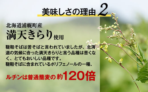 北海道産　韃靼そば「満天きらり」新そば生めん4人前(300g×2パック)