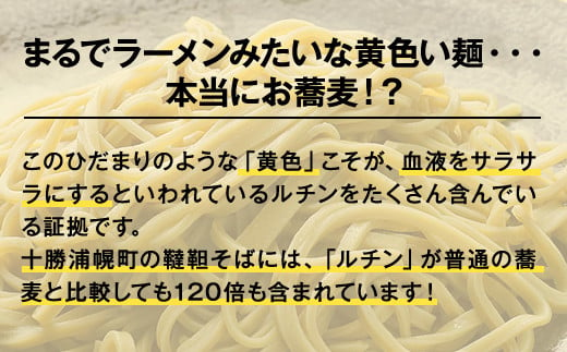 北海道産　韃靼そば「満天きらり」新そば生めん4人前(300g×2パック)