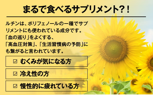 北海道産　韃靼そば「満天きらり」新そば生めん4人前(300g×2パック)