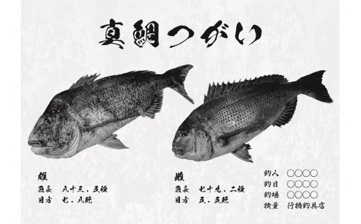 CM-017 【長尺・デジタル魚拓】メモリアルフィッシュを釣れたてのままに。