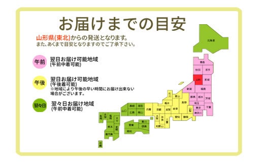 ≪令和6年度 先行予約≫ 山形県産 秀品 ラフランス 3kg  なし ナシ 梨 デザート フルーツ 果物 くだもの 果実 食品 山形県 FSY-0454