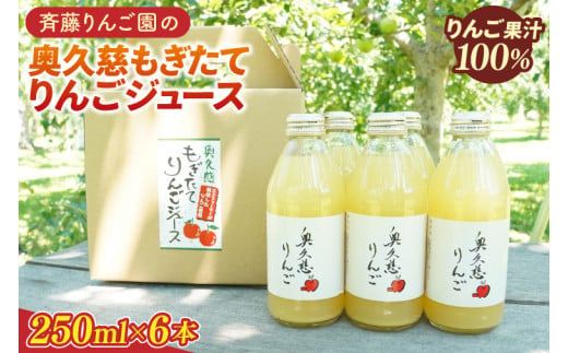 斉藤りんご園の奥久慈りんごジュース（ストレート）250ml×6本セット（化粧箱入り）（CG006）