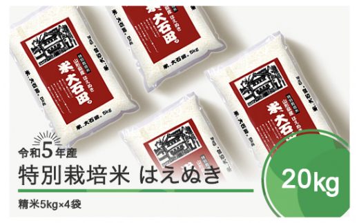 令和6年5月下旬発送 はえぬき20㎏ 精米  令和5年産