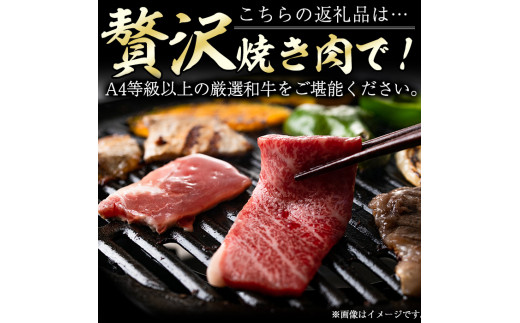 高千穂牛 三角カルビ(500g)国産 宮崎県産 宮崎牛 牛肉 焼肉 カルビ 霜降り A4 和牛 ブランド牛【MT012】【JAみやざき 高千穂牛ミートセンター】