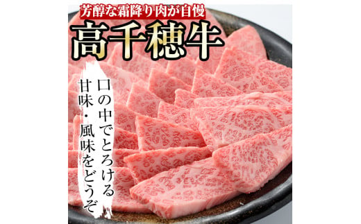 高千穂牛 三角カルビ(500g)国産 宮崎県産 宮崎牛 牛肉 焼肉 カルビ 霜降り A4 和牛 ブランド牛【MT012】【JAみやざき 高千穂牛ミートセンター】